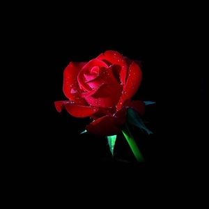 Meet your Posher, Karla